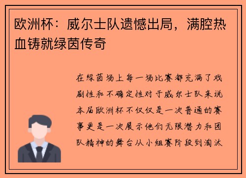 欧洲杯：威尔士队遗憾出局，满腔热血铸就绿茵传奇